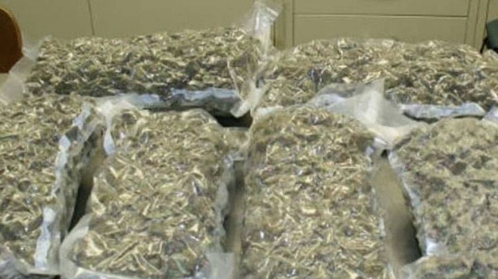 मादक पदार्थ गांजा की तस्करी मे लिप्त आरोपी पुलिस गिरफ्त में, 4 किलो 900 ग्राम गांजा