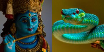 किस वरदान की वजह से पूजे जाते हैं सांप? शास्त्रों में कही गई है यह बात