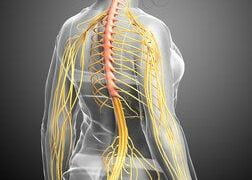 ज़रूर पढ़ें क्यों स्त्रीयों में ‘सर्वाइकल कैंसर’ का बढ़ रहा खतरा, 47 साल में होगी 57 लाख की मौत! जल्द शुरू होगा वैक्सीनेशन
