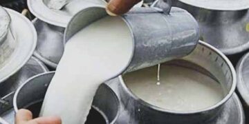 भोपाल-इंदौर में दूध महंगा: 1 अप्रैल से होम डिलीवरी पर 3 रुपये प्रति लीटर बढ़े दाम