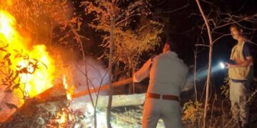 होली के दिन भी वनों की सुरक्षा में जुटे रहे वनकर्मी