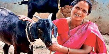 मंईयां सम्मान योजना से 67,752 महिलाएं बनीं आत्मनिर्भर, झारखंड में हर महीने मिल रहे ₹2500