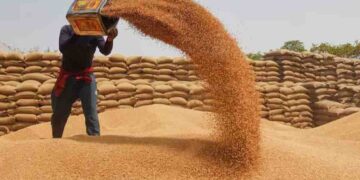 देशभर में गेहूं की सरकारी खरीद शुरू, 2585 रुपये प्रति क्विंटल के नए MSP से किसानों को मिलेगा बड़ा लाभ