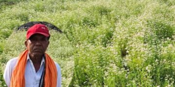 महासमुंद के किसान रतिराम की बदली किस्मत, धनिया की खेती से बढ़ी आमदनी