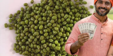 मूंग किसानों की हुई बल्ले-बल्ले! प्रदेश में रेट ₹500 प्रति क्विंटल बढ़े, सरकार की बढ़ी चिंता