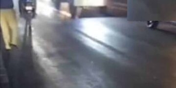 राजगढ़ में दर्दनाक हादसा, ट्रक ने टोल प्लाजा के पास 17 मवेशियों को रौंदा; बैरिकेड्स लगाकर चालक पकड़ा