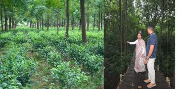 हजारीबाग का डेमोटांड फार्म बनेगा एग्रो टूरिज्म केंद्र, किसानों को मिलेगा प्रशिक्षण