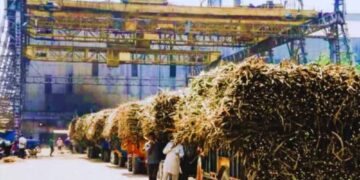 गन्ना किसानों को 102 चीनी मिलों ने किया शत-प्रतिशत भुगतान