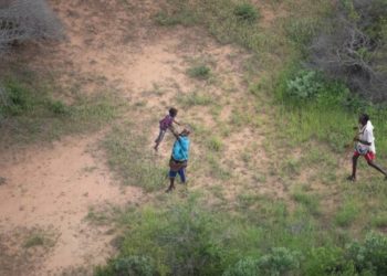 घने जंगल में बिना किसी साथ के रहना बहुत ही मुश्किल काम है. ऐसे में अगर को छोटा बच्चा जंगल में फंस जाए तो आप सोच सकते हैं कि उसके साथ क्या होगा? अफ्रीका के घने जंगल में तरह-तरह के खूंखार जानवर रहते हैं, जो किसी बड़े शख्स का भी काम तमाम कर सकते हैं, लेकिन एक 4 साल का बच्चा ऐसे ही एक जंगल में फंस गया, लेकिन उसके साथ आखिर में जो हुआ, वो सुनकर आप भी दंग रह जाएंगे.
अशनीर ग्रोवर की पत्नी पर 420 का केस:भारतपे ने 80 करोड़ की धोखाधड़ी का आरोप लगाया
ये घटना केन्या के सावे ईस्ट वाइल्डलाइफ प्रिज़र्व की है, जहां ये बच्चा अपने माता-पिता से बिछड़कर पहुंच गया था. 4 साल का एक बच्चा अफ्रीका के घने जंगल में कुल 6 दिन तक रहा. इसी जंगल में भूखे लकड़बग्घे और भेड़िए भी मौजूद थे, ऐसे में इस बच्चे की वापसी होना अपने आपमें बड़ा चमत्कार कहा जा रहा है. इतने दिन बीतने के बाद किसी को भी उम्मीद नहीं था कि बच्चा ज़िंदा बच जाएगा लेकिन रेस्क्यू टीम ने उसे ढूंढ निकाला.
भूखे जंगली जानवरों के बीच रहा बच्चा
डेली स्टार की रिपोर्ट के मुताबिक बच्चे का घर Asa में था, जहां से वो तूफान के दौरान अपने भाई से बिछड़कर 11 मील दूर जंगल में पहुंच गया. Sheldrick Wildlife Trust से संपर्क करने के बाद 70 लोगों की सर्च पार्टी ने पूरे जंगल को खंगाला. जैसे-जैसे दिन बीते, लोगों को ये यकीन हो गया कि बच्चा ज़िंदा नहीं है क्योंकि इस जंगल में तमाम भूखे जंगली जानवर रहते हैं. कुछ दिन पहले ही यहां बाढ़ भी आई थी, ऐसे में सारे जानवर अपने शिकार की तलाश में घूम रहे थे. बच्चा बहुत छोटा था, तो उसके बचने की उम्मीद सबने छोड़ दी थी, जब एक चमत्कार हुआ.
अशनीर ग्रोवर की पत्नी पर 420 का केस:भारतपे ने 80 करोड़ की धोखाधड़ी का आरोप लगाया
जंगल में घूमता दिखा बच्चा
इलाके में बच्चे को ढूंढ रही पार्टी में शामिल पायलट Roan Carr-Hartley ने झाड़ियों और पेड़ों के बीच छोटा सा बच्चा देखा. उन्हें उस वक्त अपनी आंखों पर भरोसा नहीं हुआ, लेकिन बच्चा 6 दिन तक जंगली जानवरों के रहने के बाद भी ज़िंदा था और चल रहा था. वो हफ्ते भर बिना कुछ खाए-पिए काफी कमज़ोर और कुपोषित हो गया था. उसे तरह-तरह के कीड़े-मकोड़ों ने काटा हुआ था. उसे इसी हालत में अस्पताल में भर्ती किया गया, जहां उसका इलाज हुआ. चूंकि उसे पायलट ने ढूंढकर उसकी जान बचाई थी, इसलिए लोगों ने उसका नाम पायलट रख दिया.